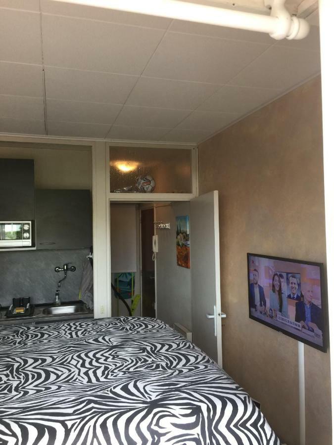 Frejus Studio Luaran gambar